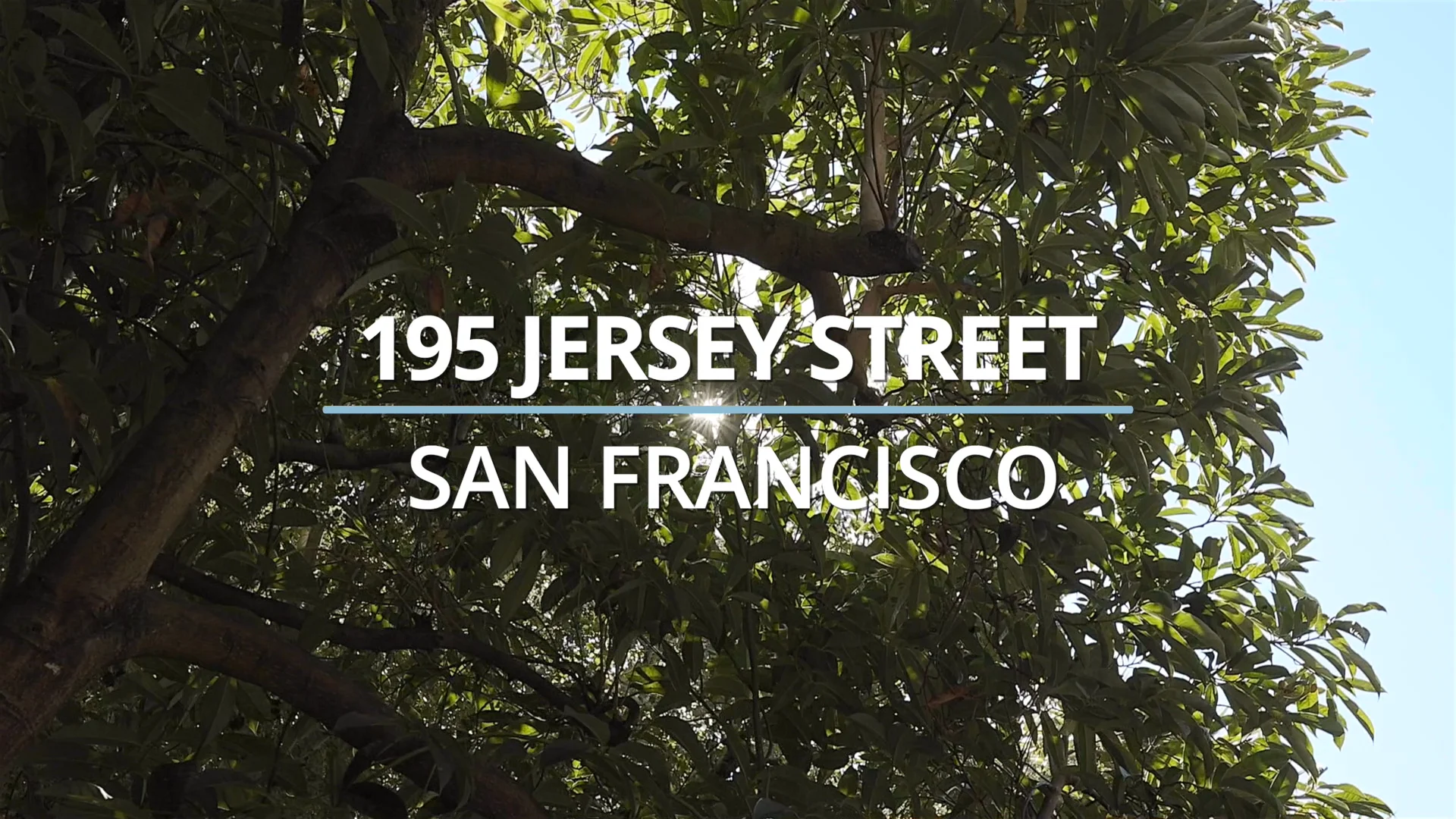 195 Jersey Street, San Francisco - Presented by: Dan Risman-Jones and ...