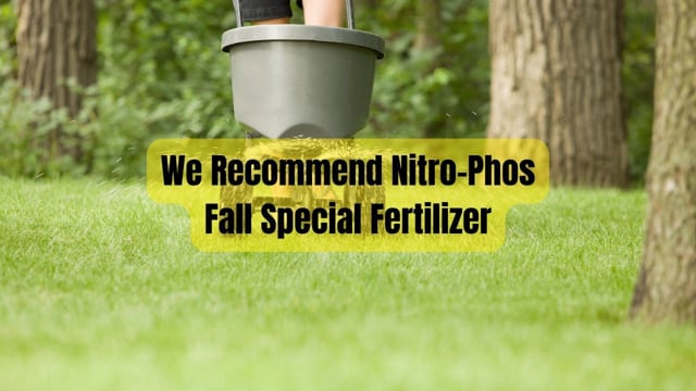 We Recommend Nitro-Phos Fall Special Fertilizer at Houston Grass