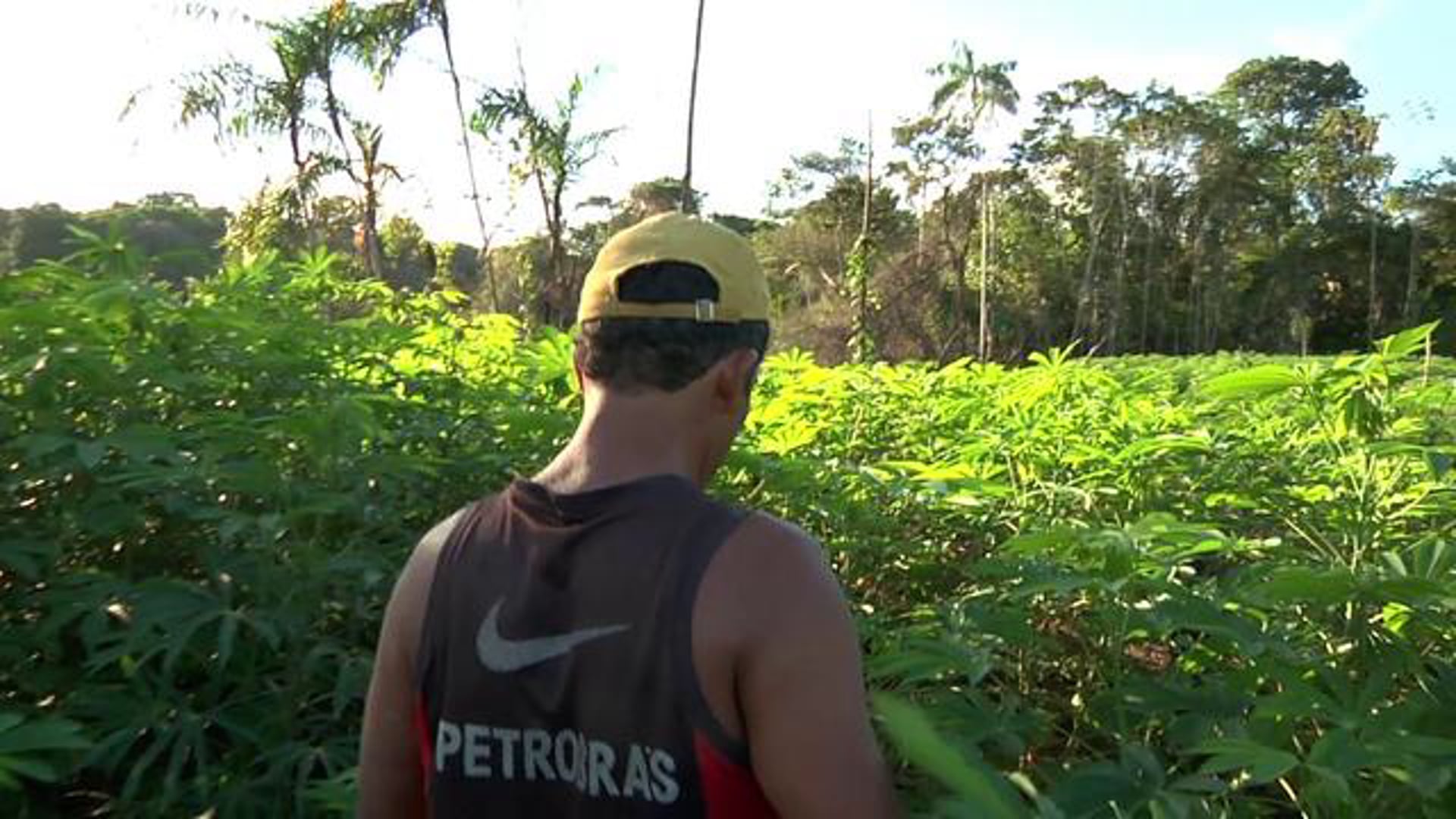GEF - Brazil: Forests Forever
