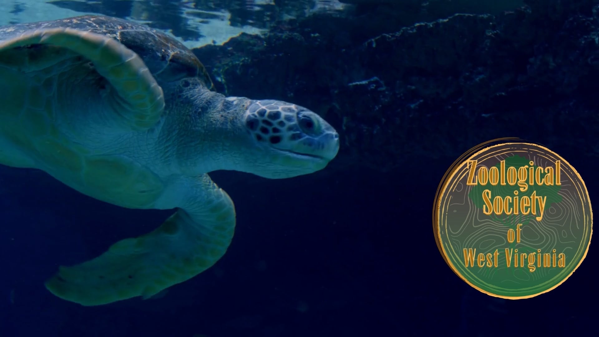 Huntington Zoo & Aquarium