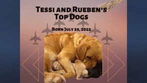 Tessi & Rueben's Top Dogs