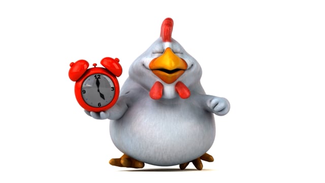 Pollo, Gallina, Polluelo, Alarma, Reloj