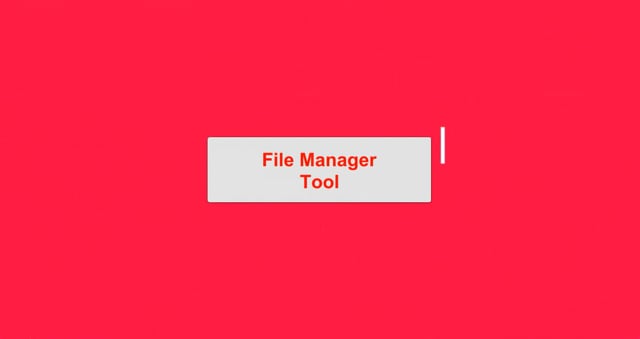 File Manager Tool - Business Version
