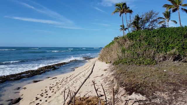 33 Hilton Hawaiian Village Waikiki Beach Resort Stock Video Footage - 4K  and HD Video Clips