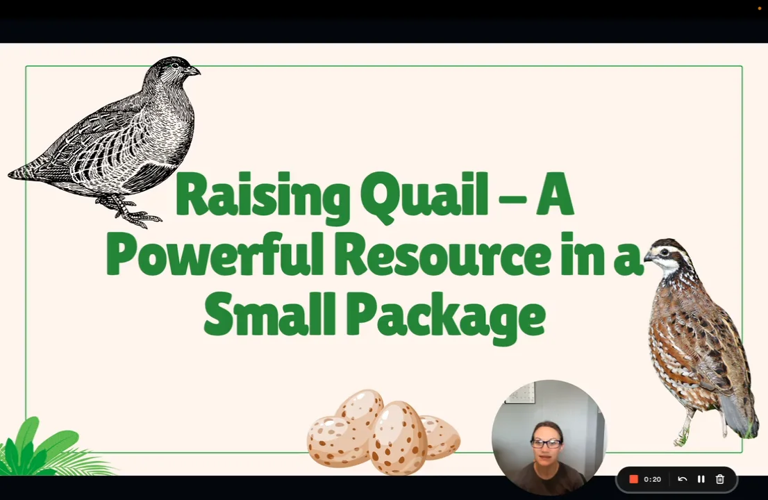 Quail Presentation on Vimeo