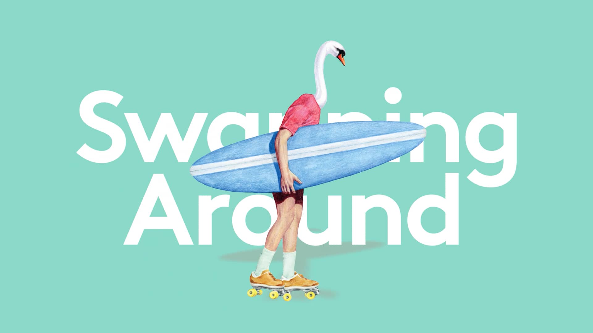 Swanning Around Wines 'Find your Flock' on Vimeo