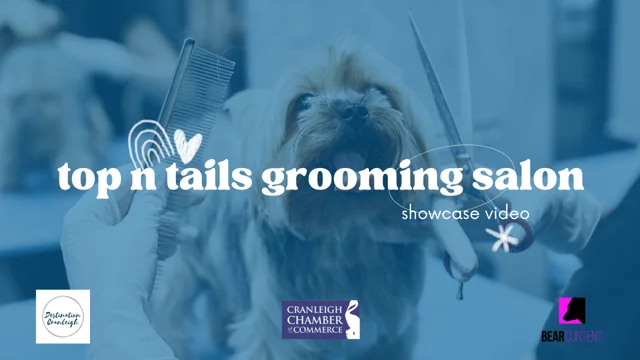 Top to best sale tail dog grooming