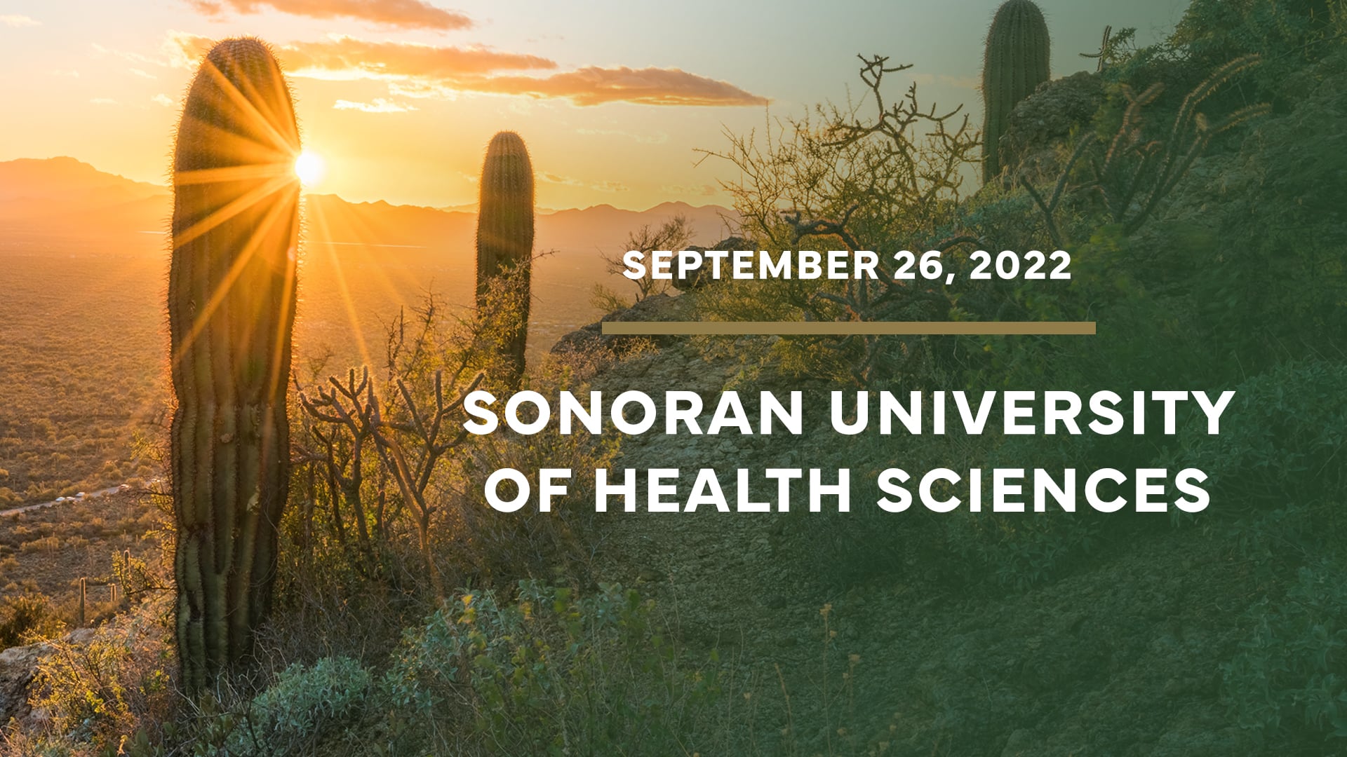 Welcome to Sonoran University