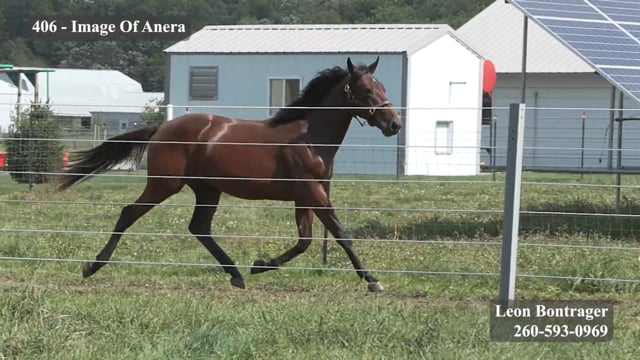 Image Of Anera