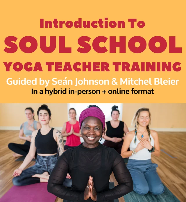 Art of Adjustments - Yoga Further Training For Yoga Teachers By Academy for  Yoga Training