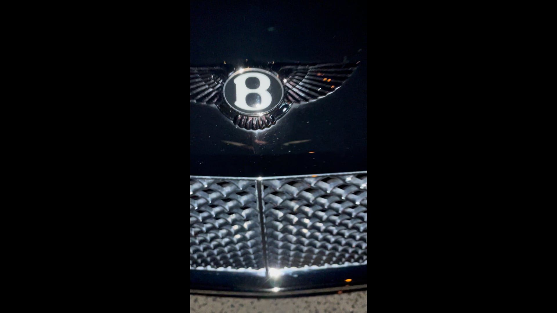 Promotional video thumbnail 5 for Prolific Valet Services