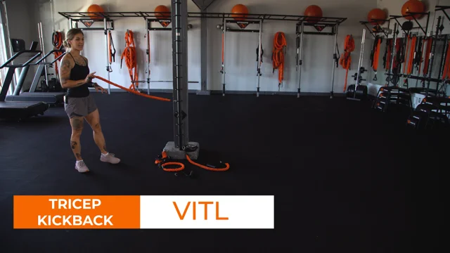 Tricep Kick Back Exercise.mp4