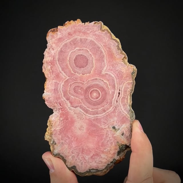 Rhodochrosite stalactites slice (Trancoso Coll.)