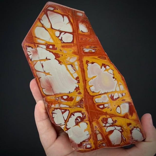 large polished Jasper slab (Trancoso Coll.)