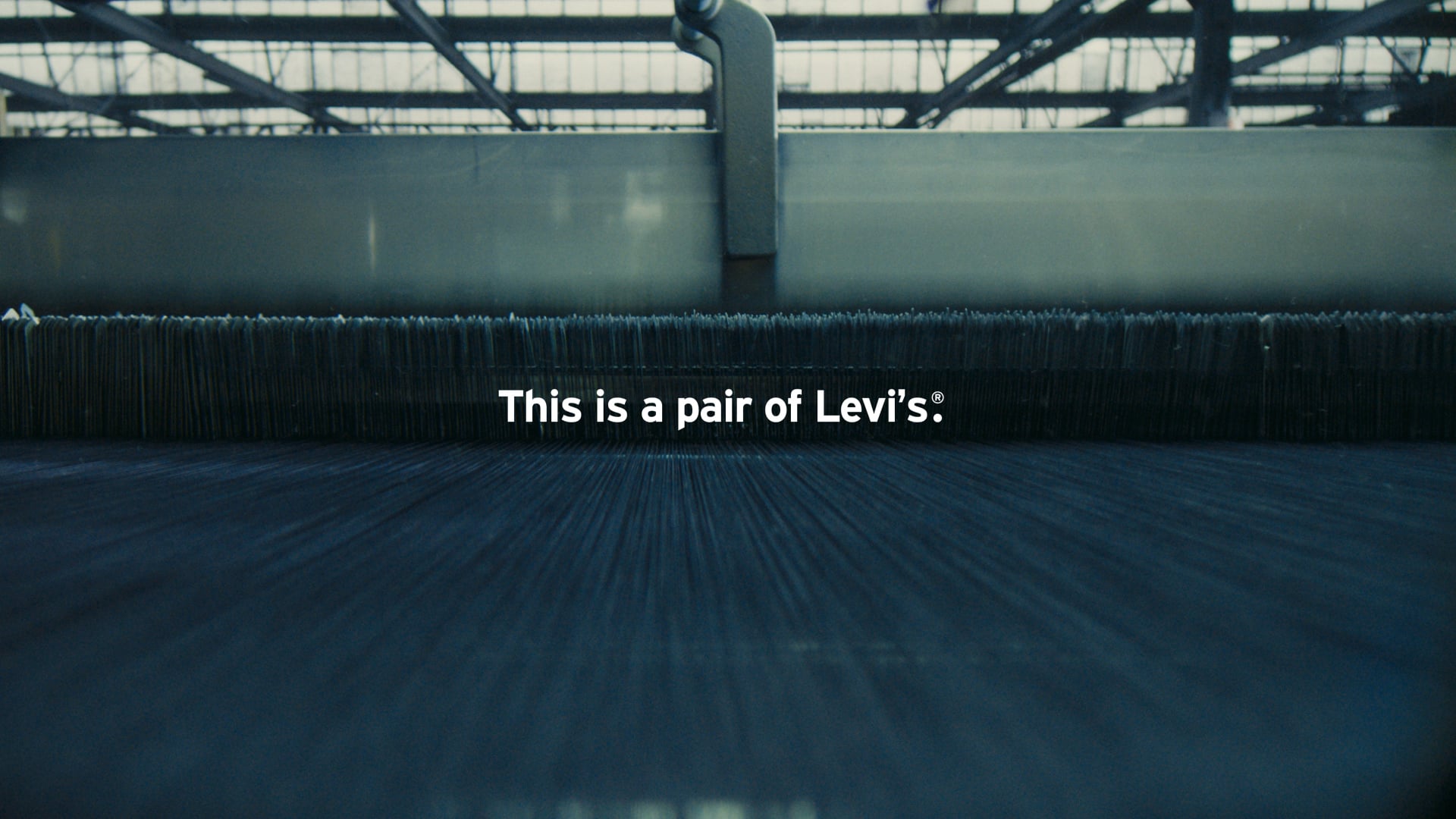 Levis