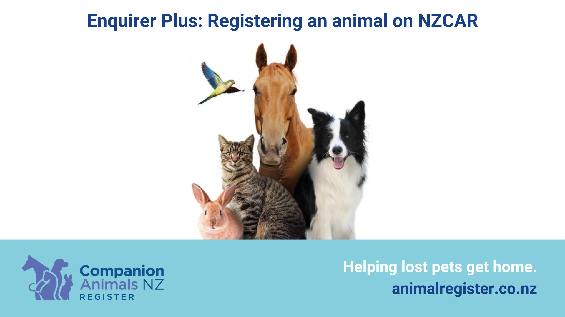 Companion store animals register