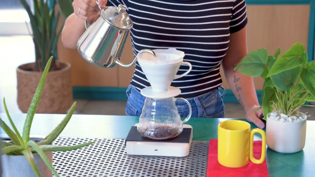 Guide To Pour-Over Coffee – Counter Culture Coffee