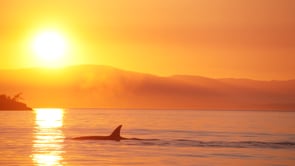 DESTINATION GREATER VICTORIA