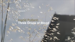 Ingrid Pollard Exhibition Promo