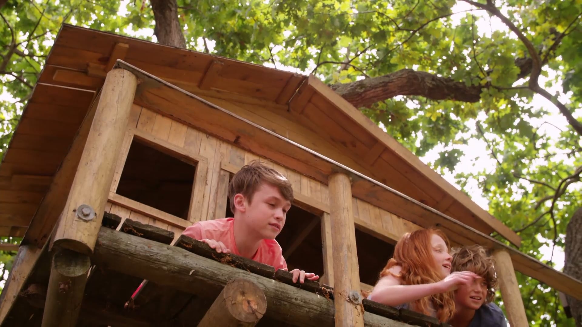 The Tree House | docufilms