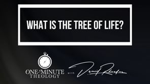 What is the Tree of Life?