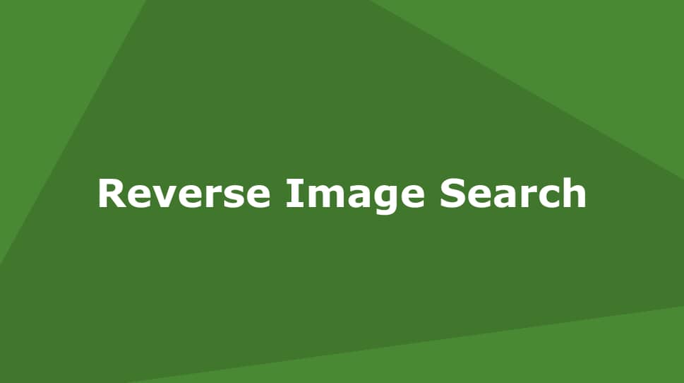 reverse-image-search-on-vimeo