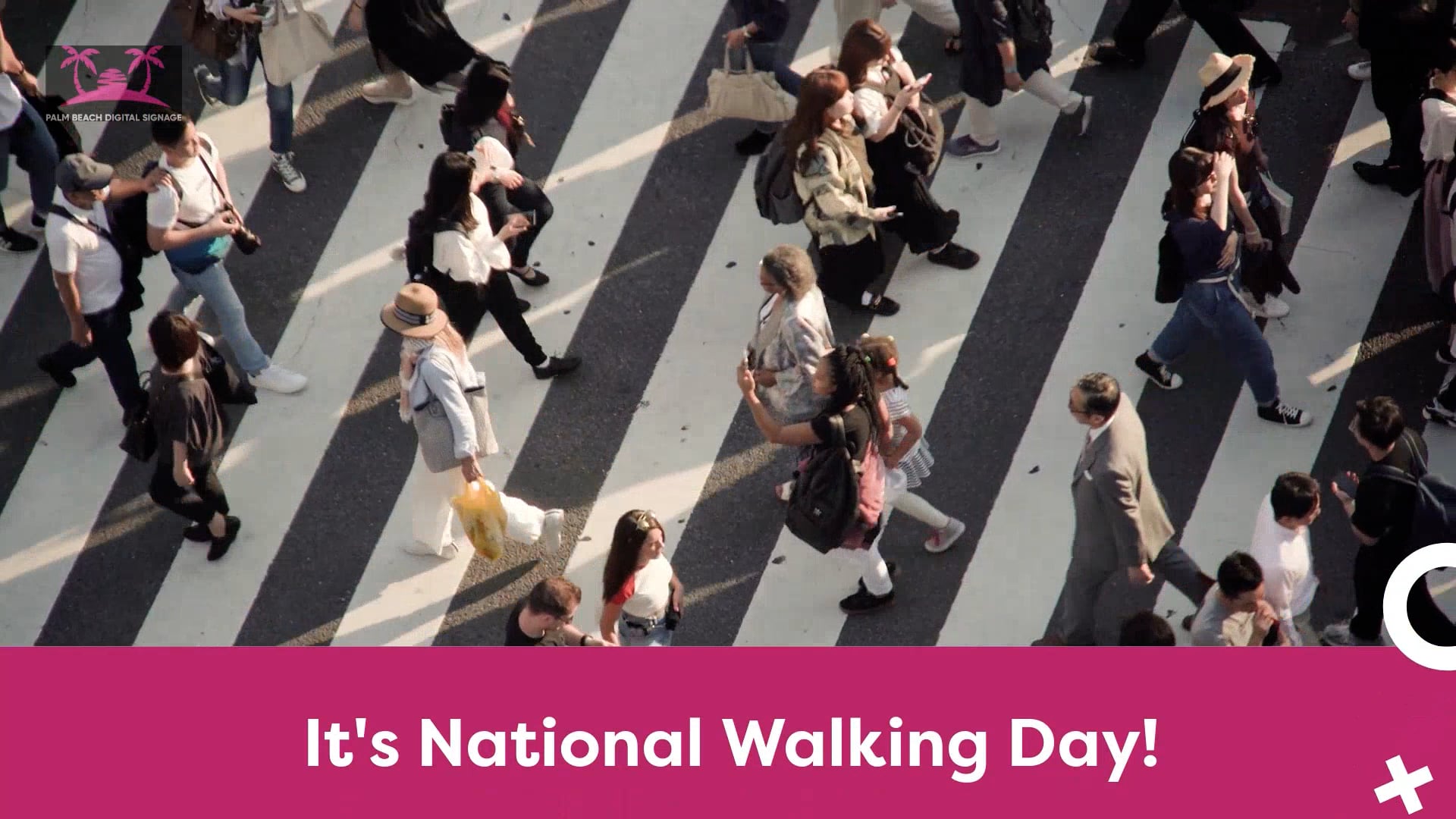 National Walk Day Promo video 2hd on Vimeo