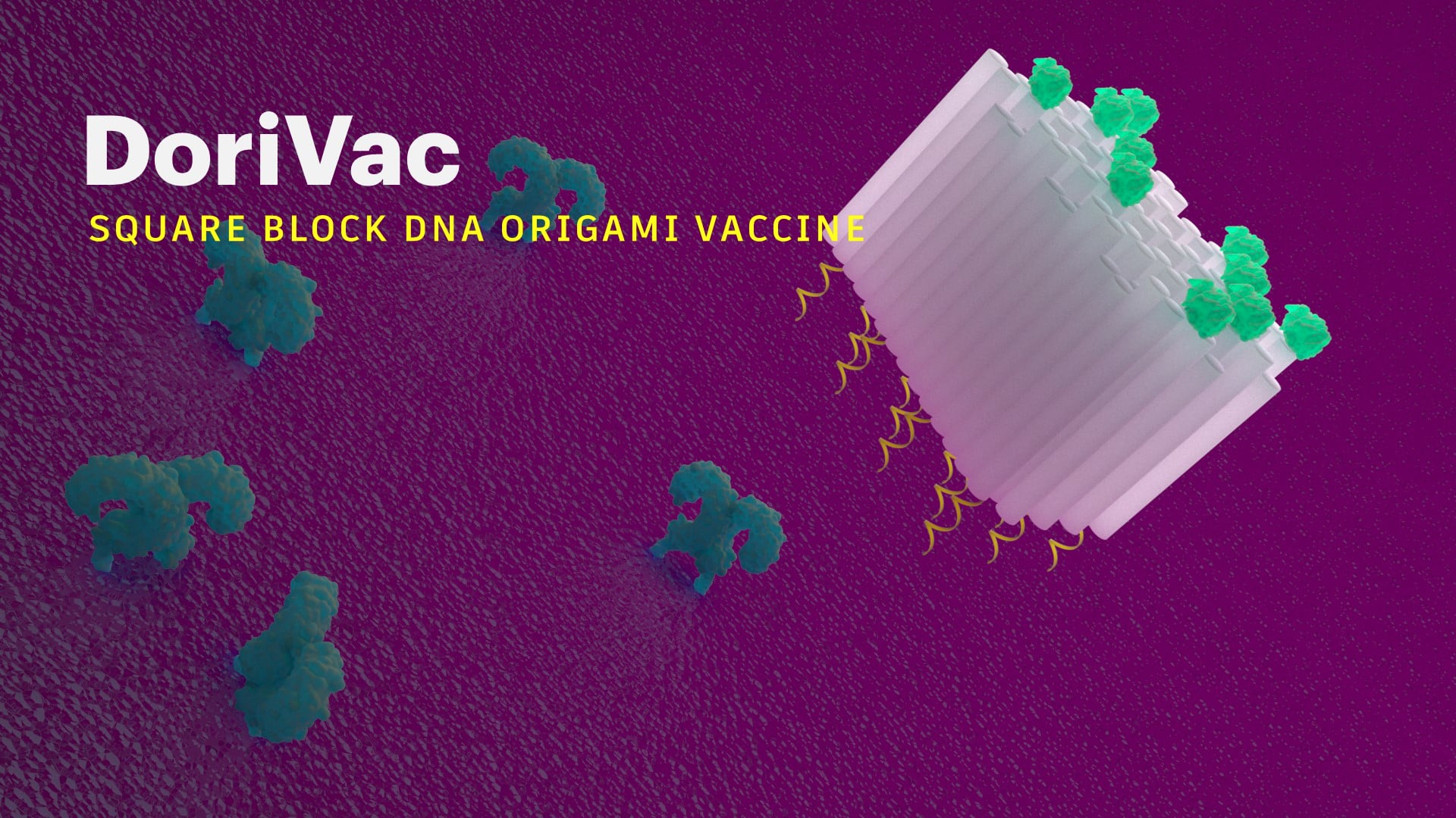 DoriVac-Square Block DNA Origami Vaccine.mp4
