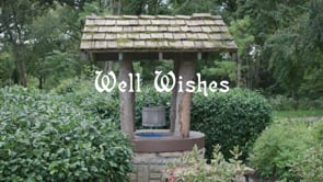 Well Wishes | mpw.74