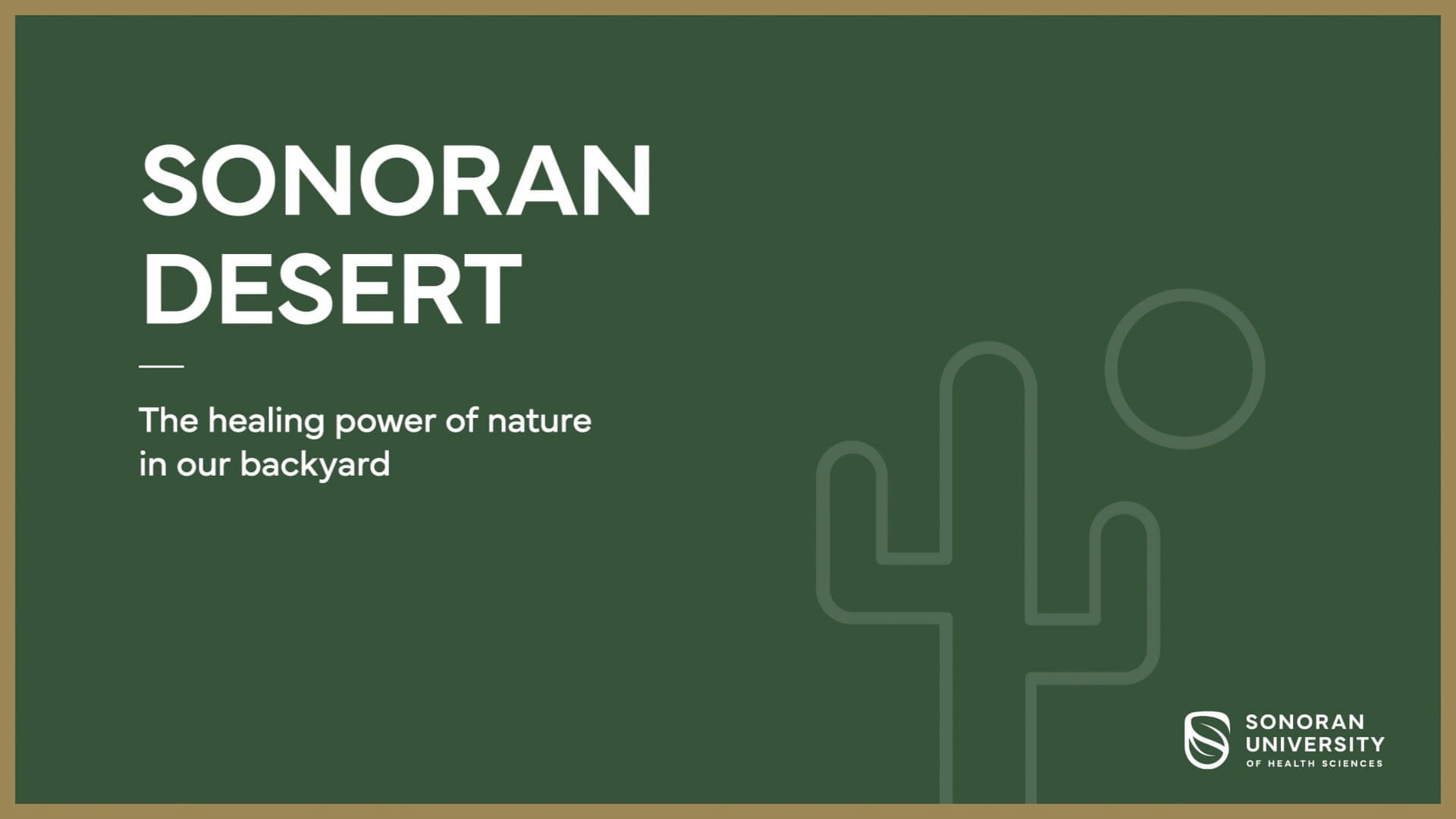 Sonoran University - The Sonoran Desert
