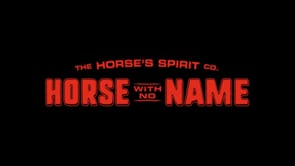 Horse With No Name