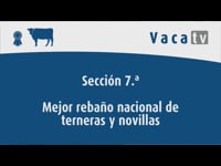 Mejor rebaño y mejor criador nacional de terneras y novillas