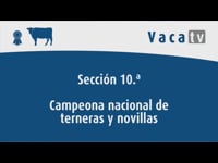 Campeona nacional de terneras y novillas