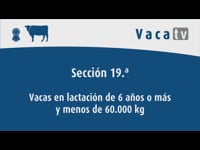 Vacas en lactación de 6 años o más y menos de 60.000 kg
