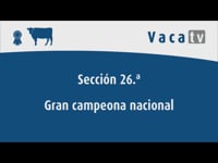 Vaca gran campeona nacional