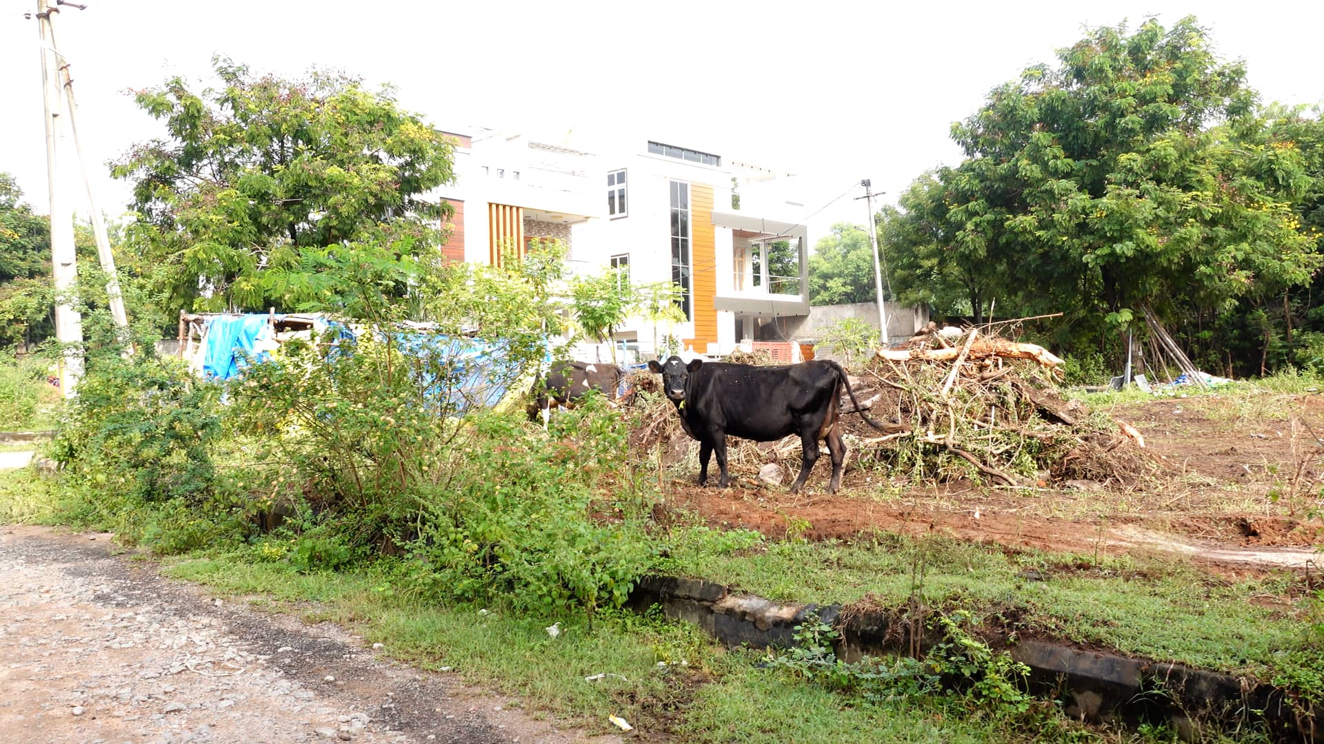 PLOT LOCATION NORTH EAST WEST 377 YARDS IN YAPRAL KOWKOOR HYDERABAD on