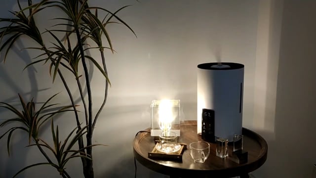 Ultrasonic Humidifier With UV Sterilizer // 1.5 Gallon  video thumbnail