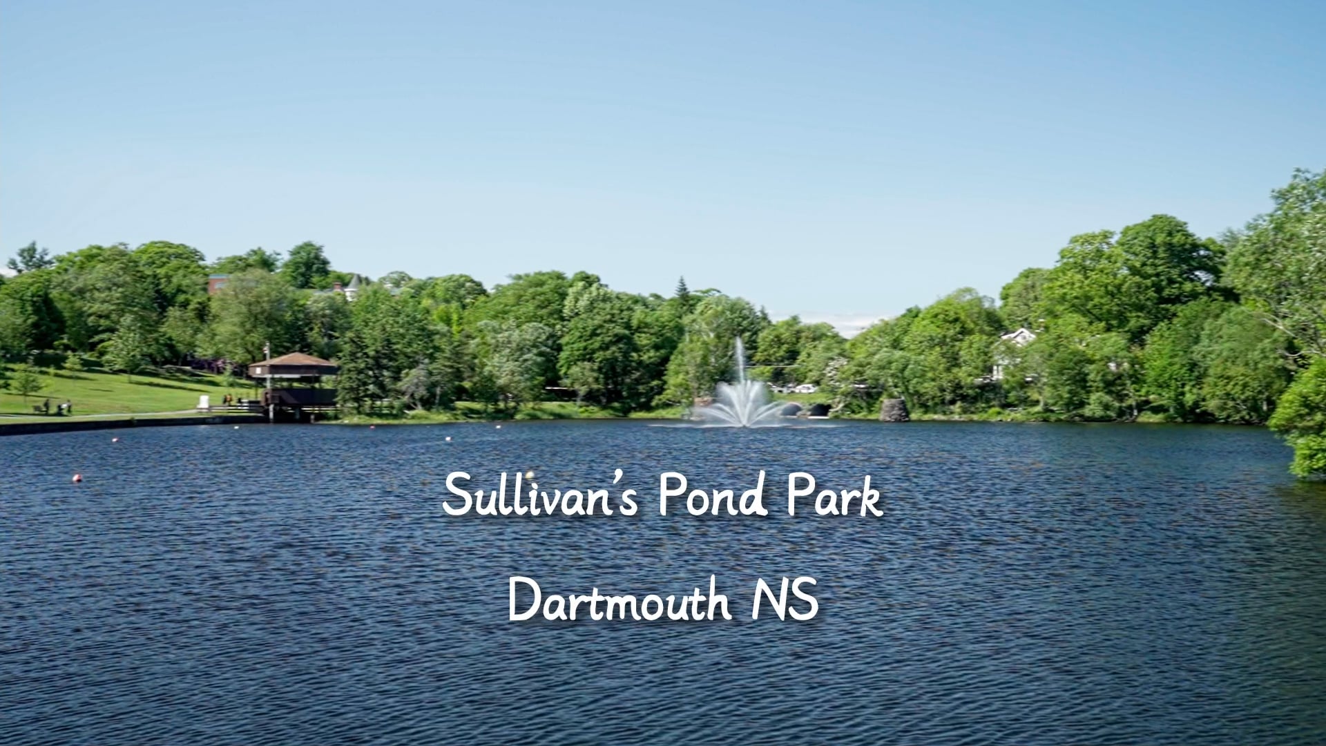 Sunny day at Sullivan's Pond Park