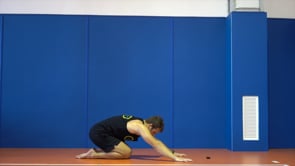 BASIC TRAINING WITHOUT A WALL