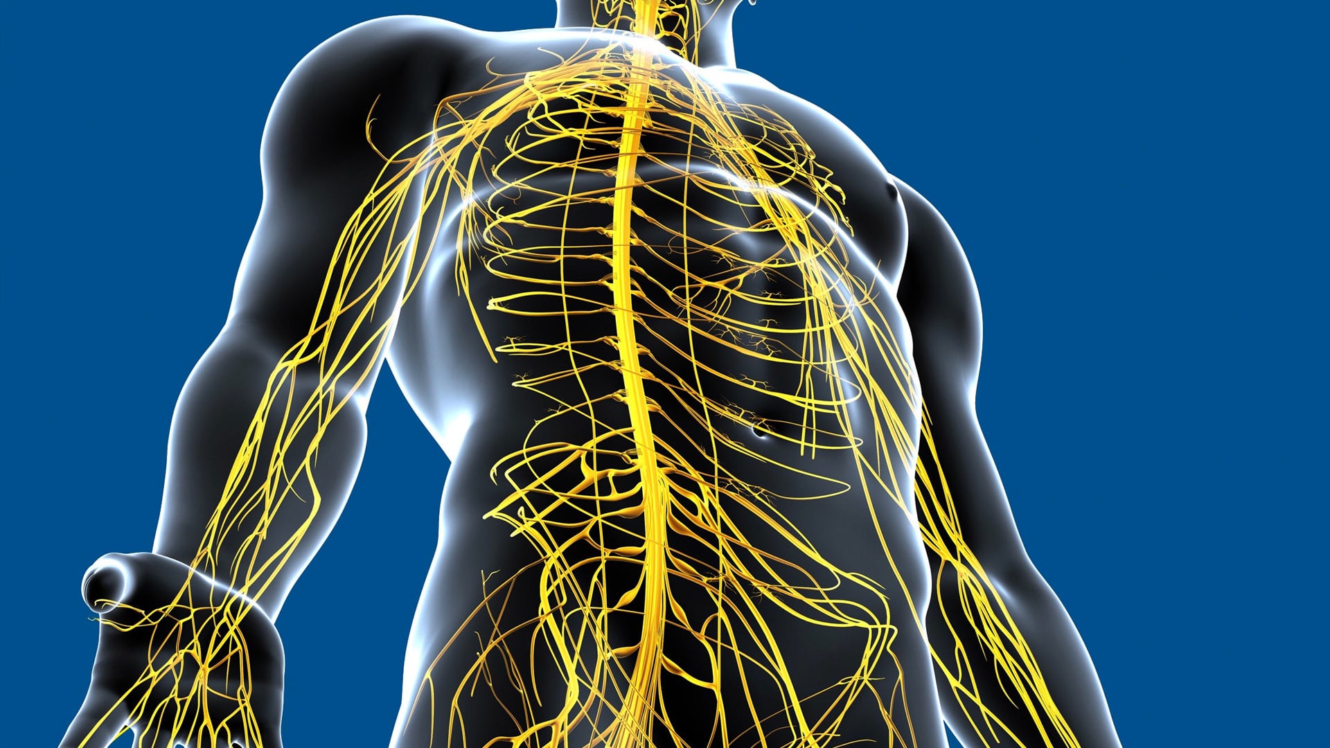 Watch Manual Therapy to Eliminate Multiple Nerve Compression Patterns ...