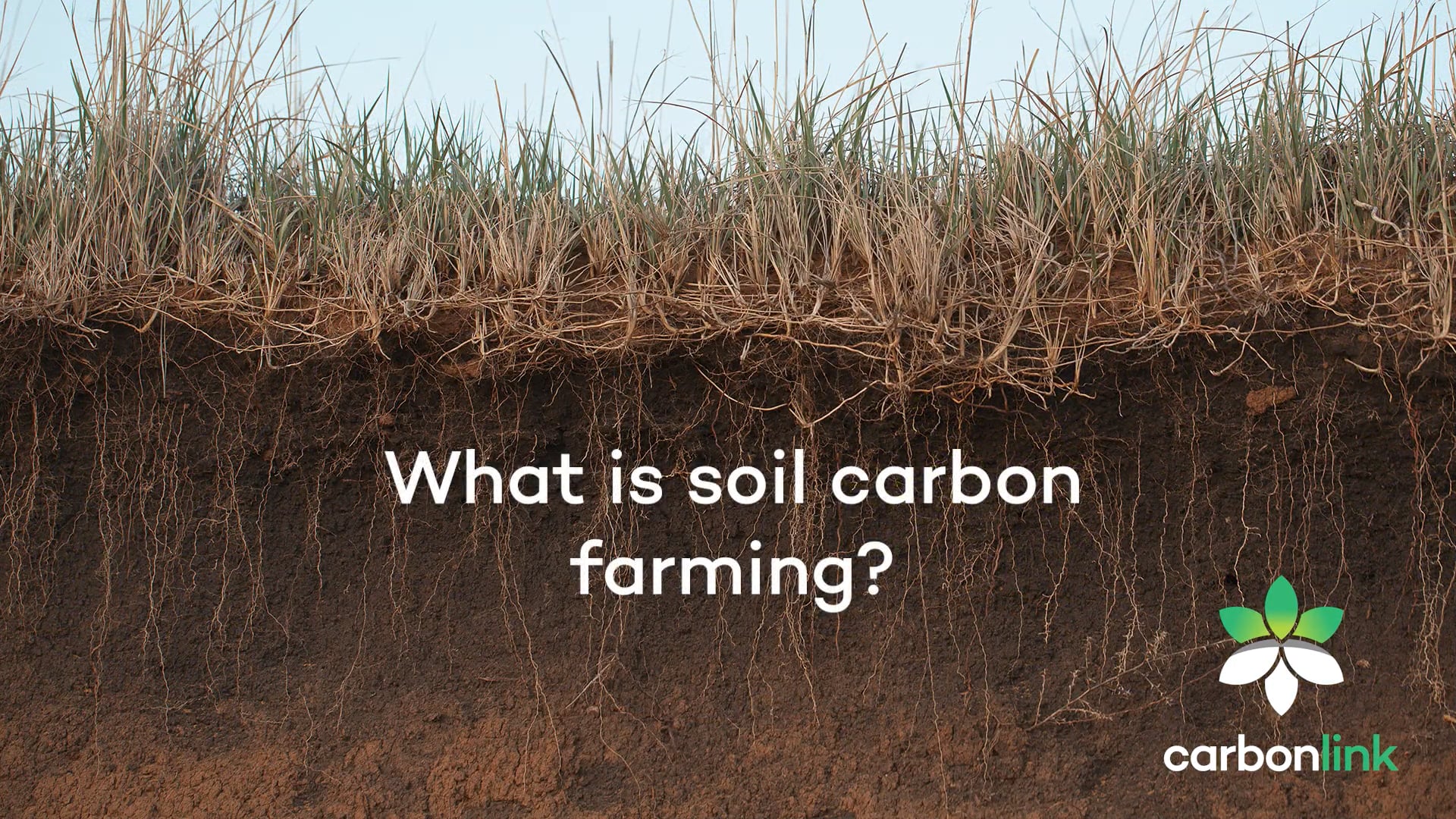 What Is Soil Carbon Farming