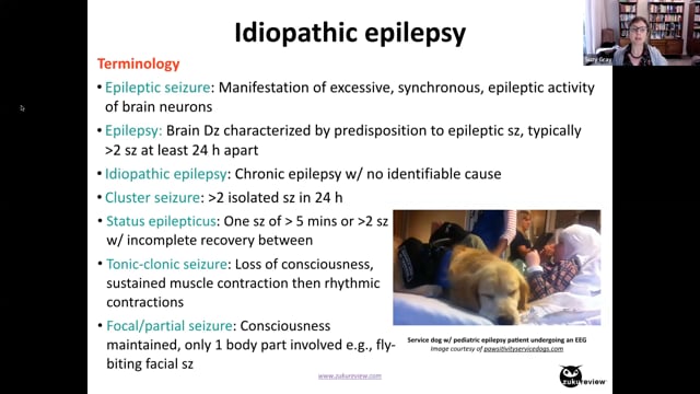 what is idiopathic epilepsy dogs