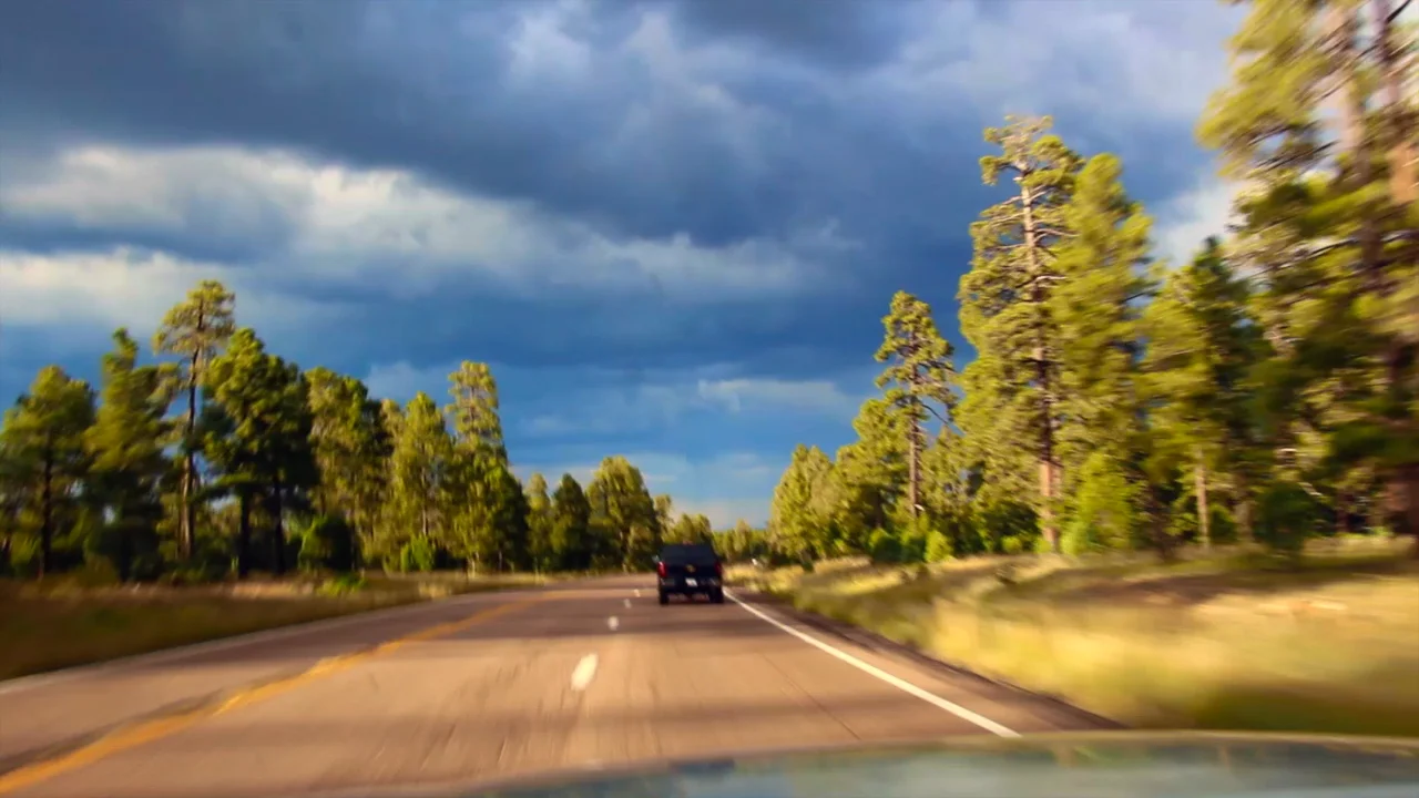 fall light on Vimeo