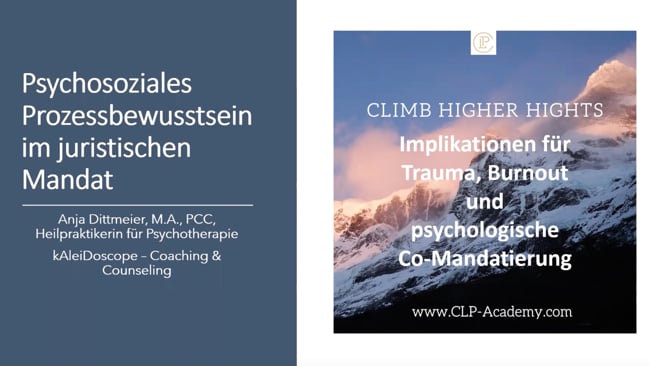 Traumata im Beratungsmandat