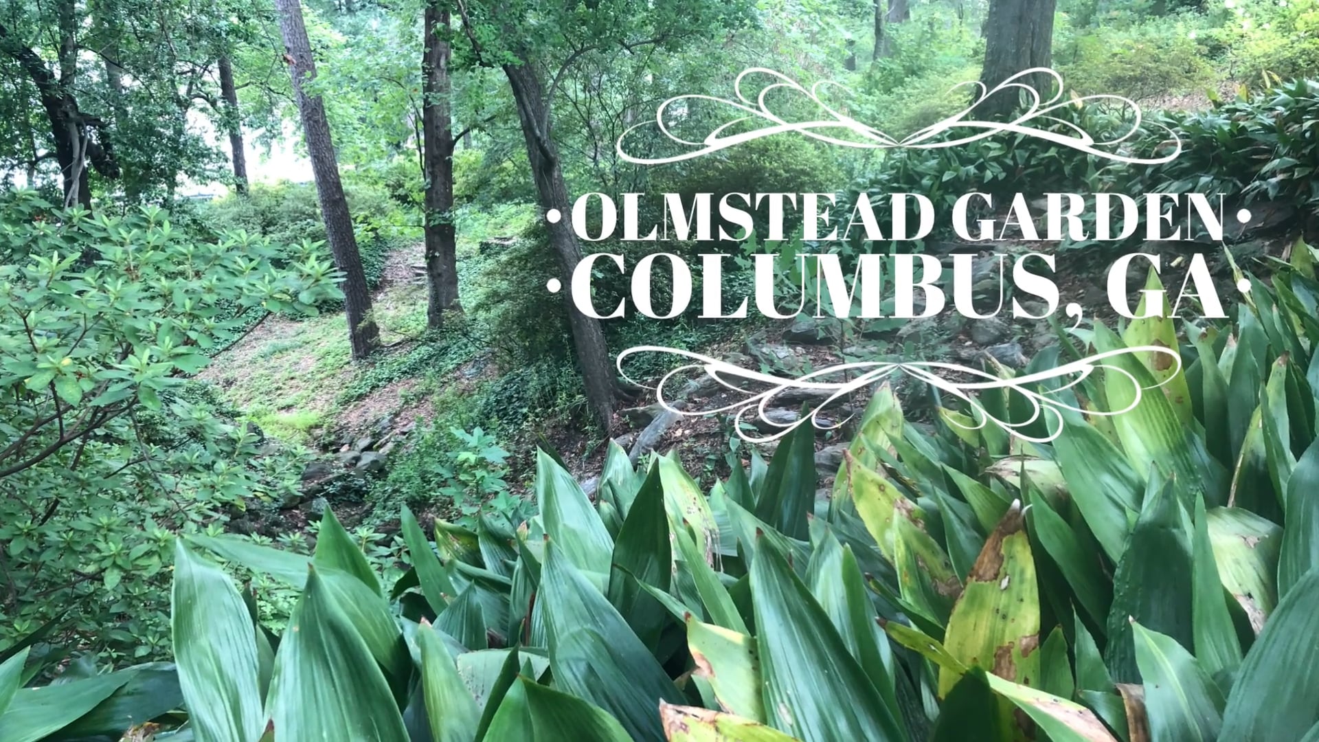 Olmstead Garden, Columbus GA on Vimeo