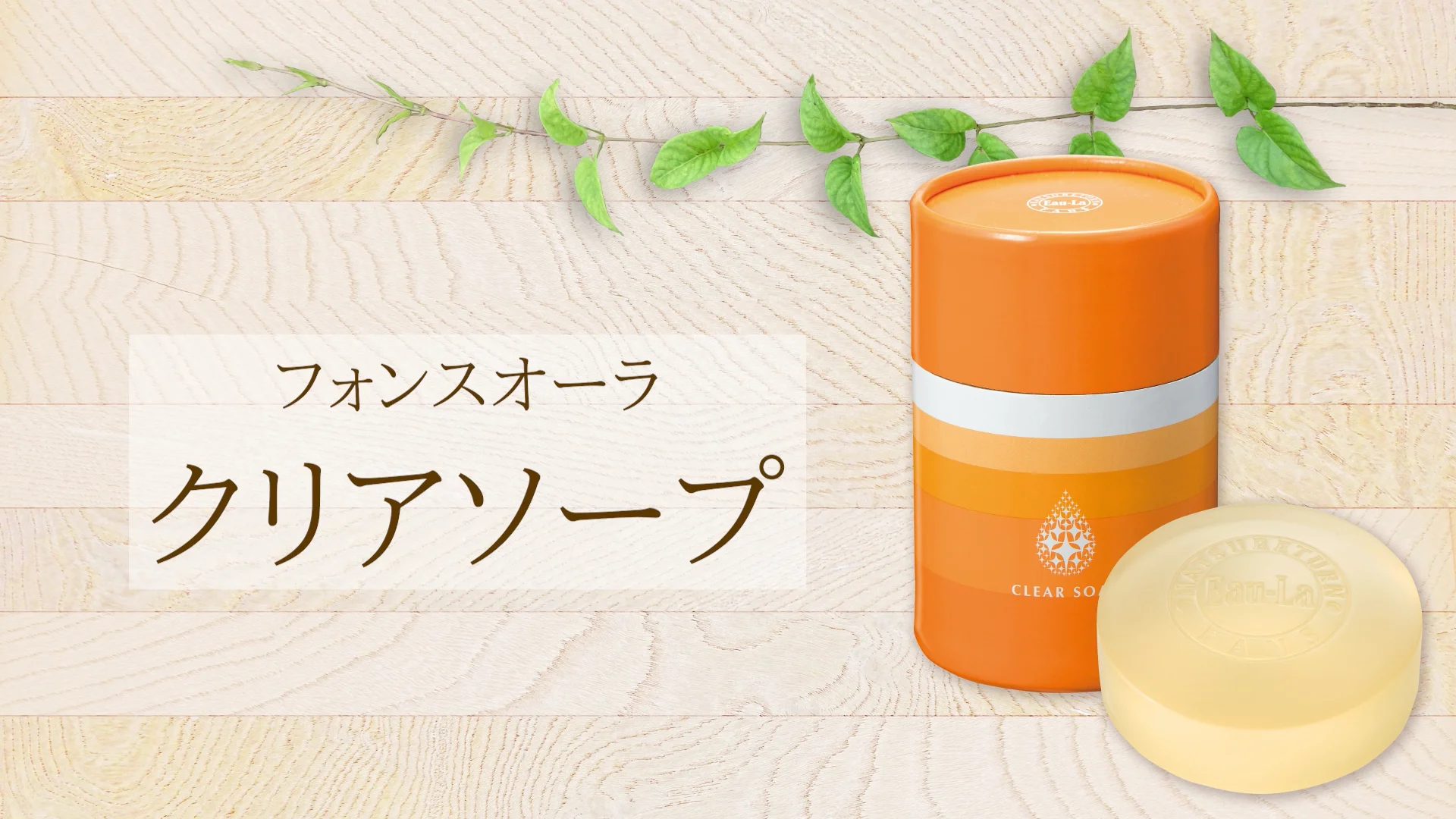 タイセイ株式会社 » クリアソープ