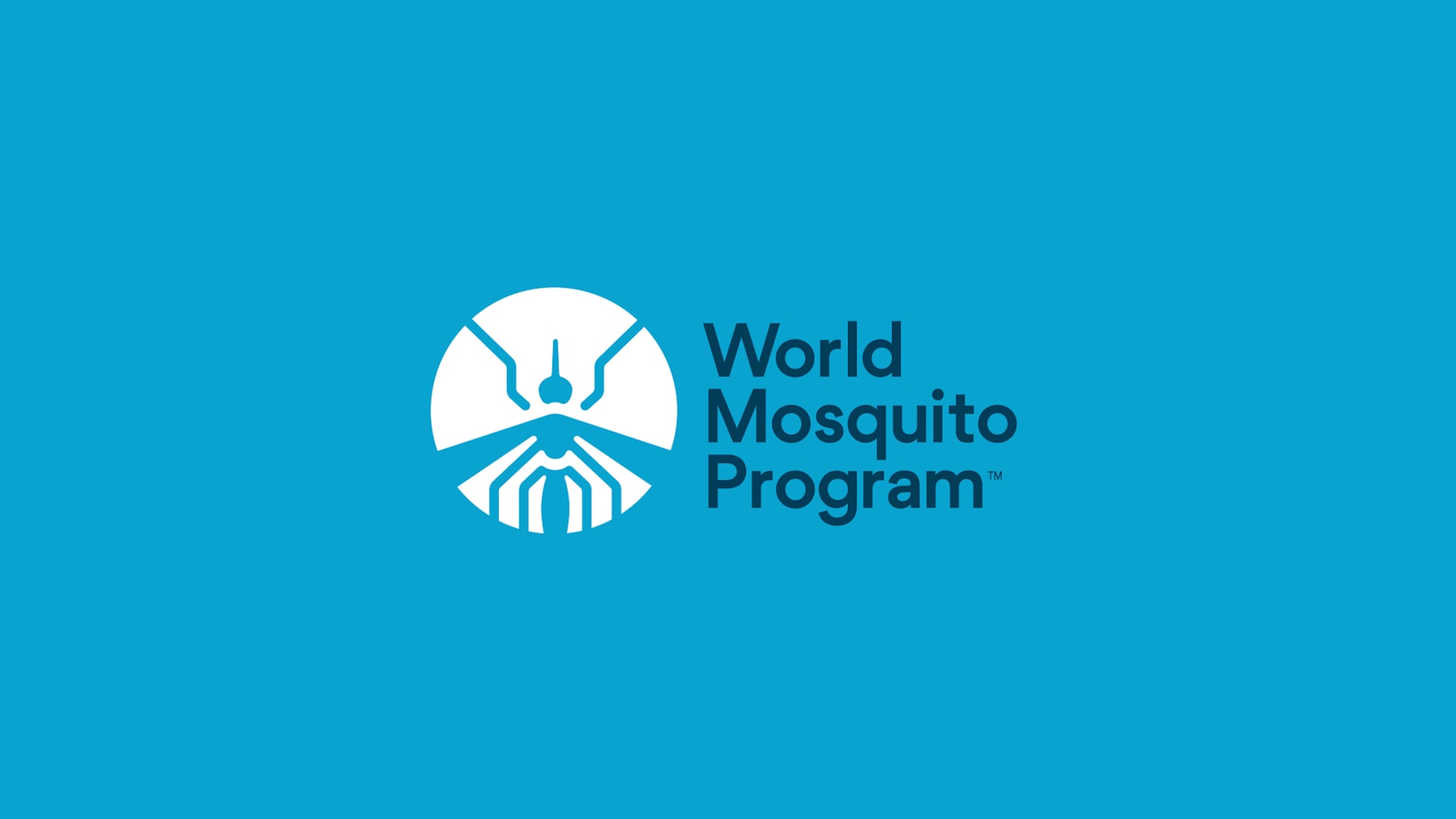 ORES GROUP X WORLD MOSQUITO PROGRAM | COST-EFFECTIVENESS VIDEO