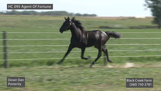 HC 095 Agent Of Fortune