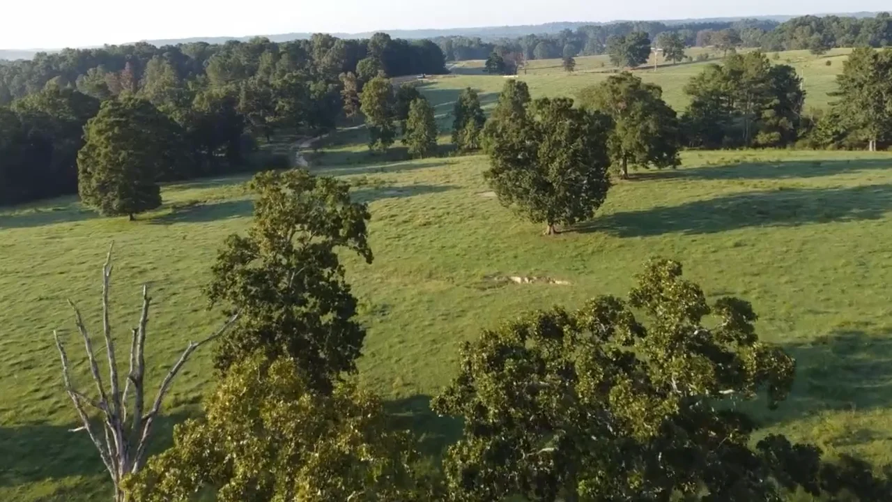 Cook Creek Farm on Vimeo