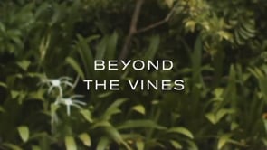 Beyond The Vines - Micro Dumplings